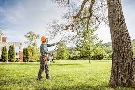 Best Lawn Drainage Solutions  in Oregon, IL