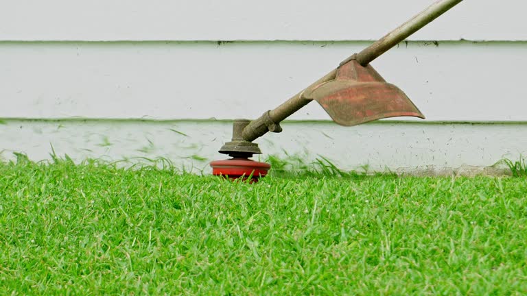 Best Weed Control  in Oregon, IL